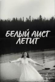 Белый аист летит (1978)