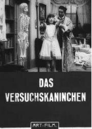 Подопытный кролик (Das Versuchskaninchen) 1916