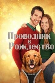 Проводник в Рождество (My Christmas Guide) 2023