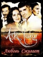 Любовь сжигает (2008)